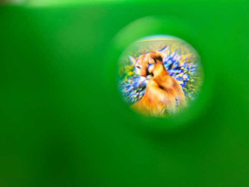 Detský fotoaparát Striedajúce sa zvieratká