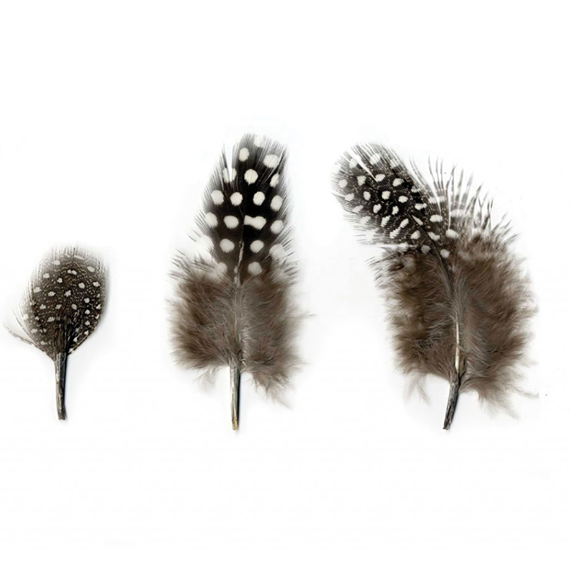 PIERROT - Dekoračné pierka vtákov