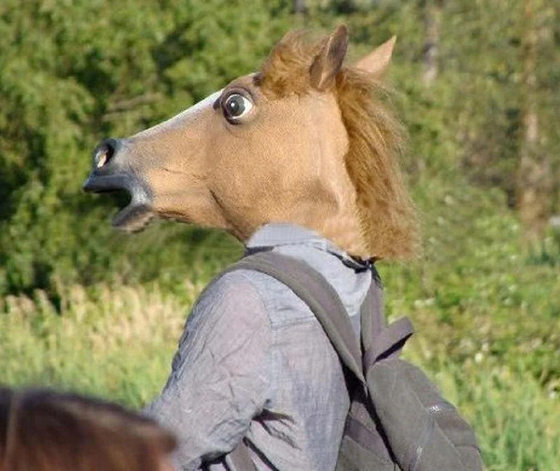 Maska Konská hlava