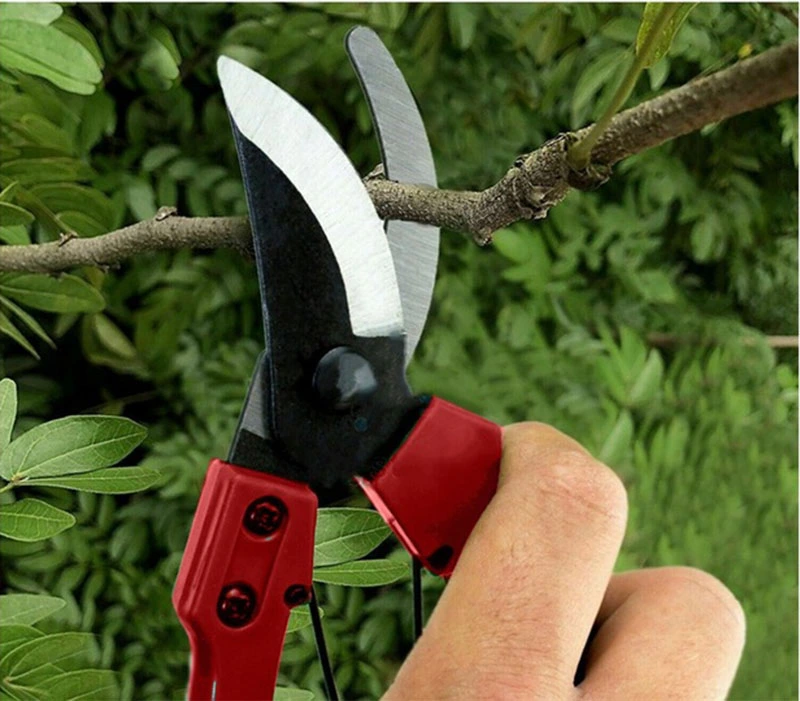 Záhradné ručné nožnice 4cm červené