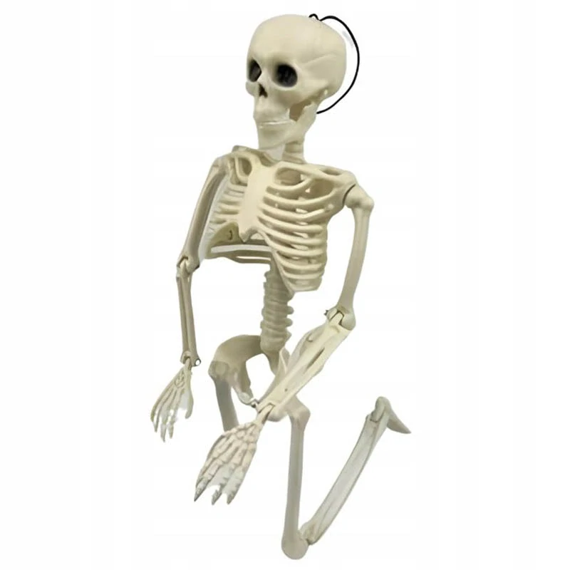 Halloweenska dekorácia kostra 40cm