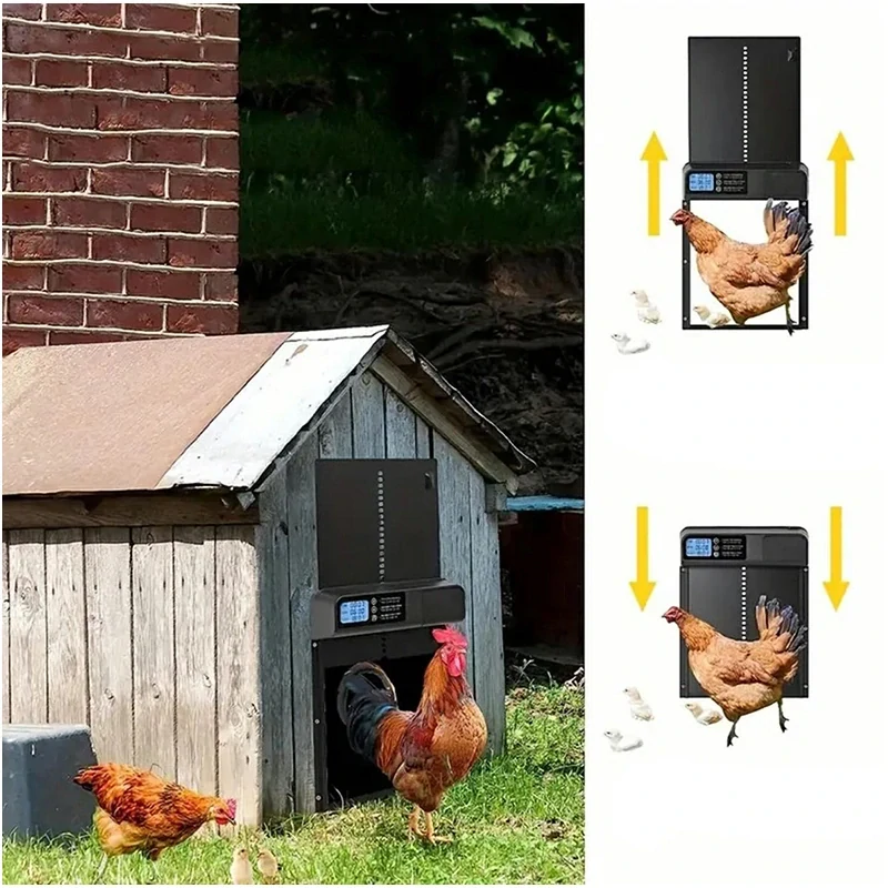 Dvere do kurína automatické s programovaním