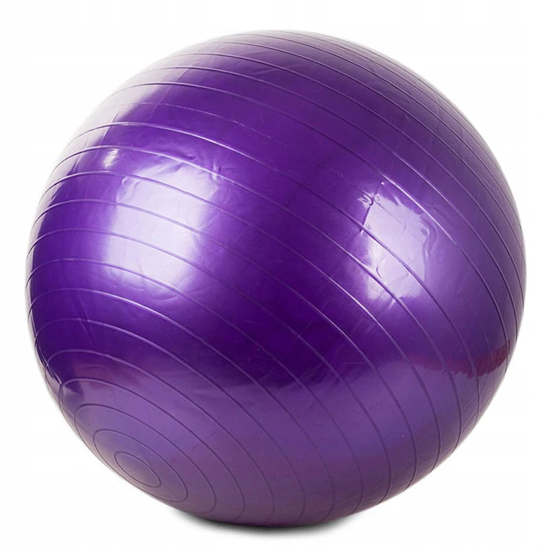Gymnastická lopta s pumpou 65cm fialová