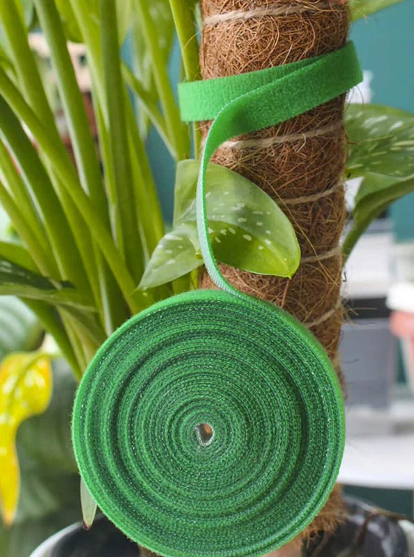 Páska na viazanie rastlín 5m