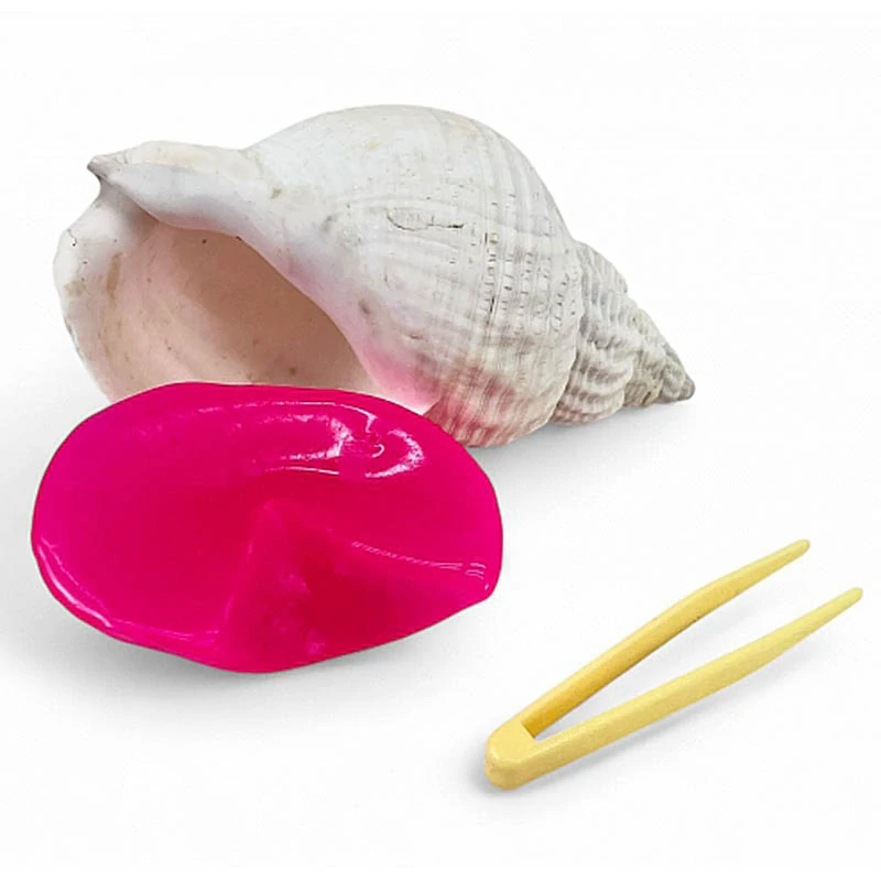 Antistresová hračka mušľa s gélovou výplňou – relax a zábava pre deti aj dospelých