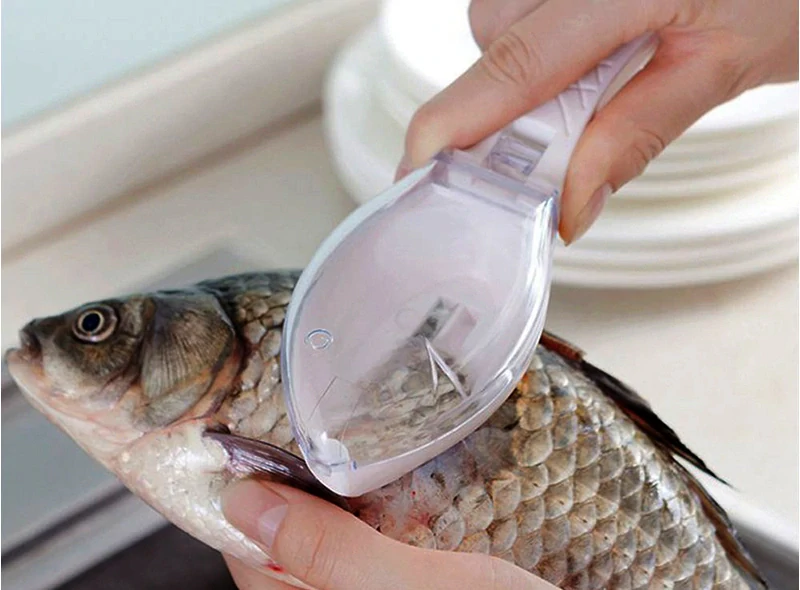 Škrabka na ryby so zásobníkom