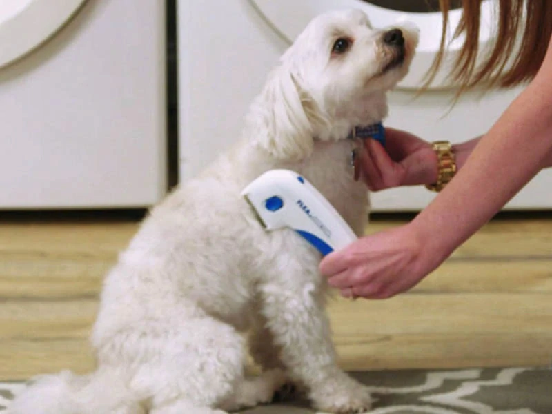 Elektrický hrebeň na blchy pre psov a mačky