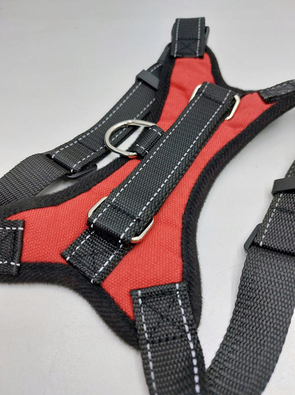 Postroj pre psov a mačky veľkosť S (45-55cm)