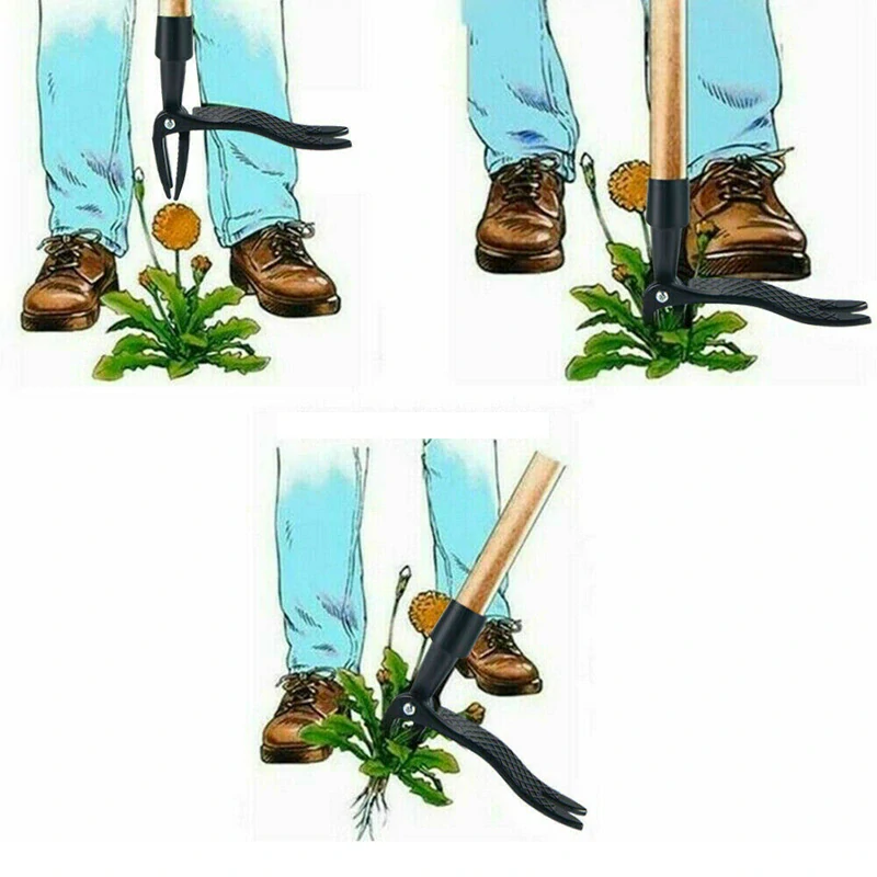 Odstraňovač buriny