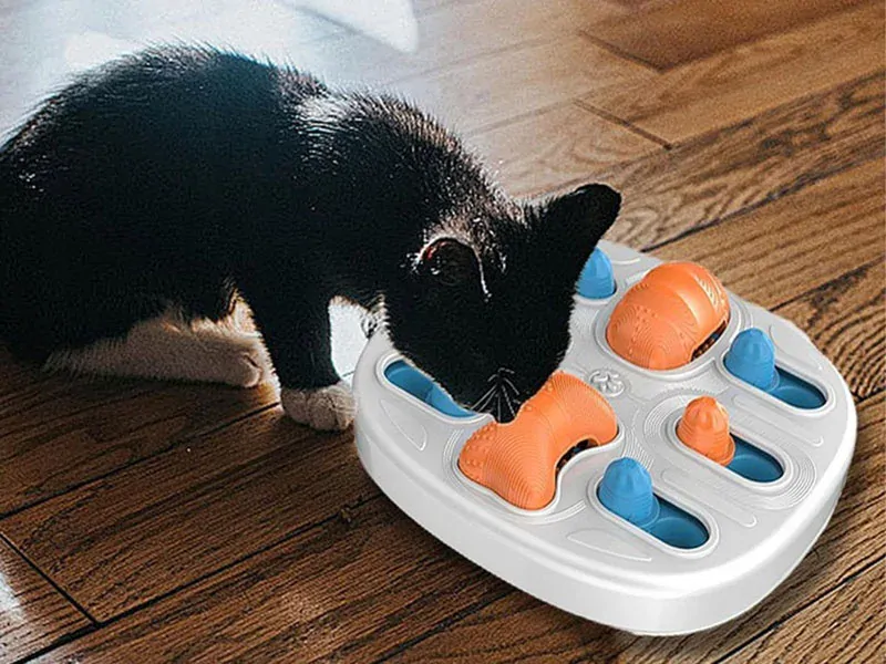 Hračka puzzle pre psa