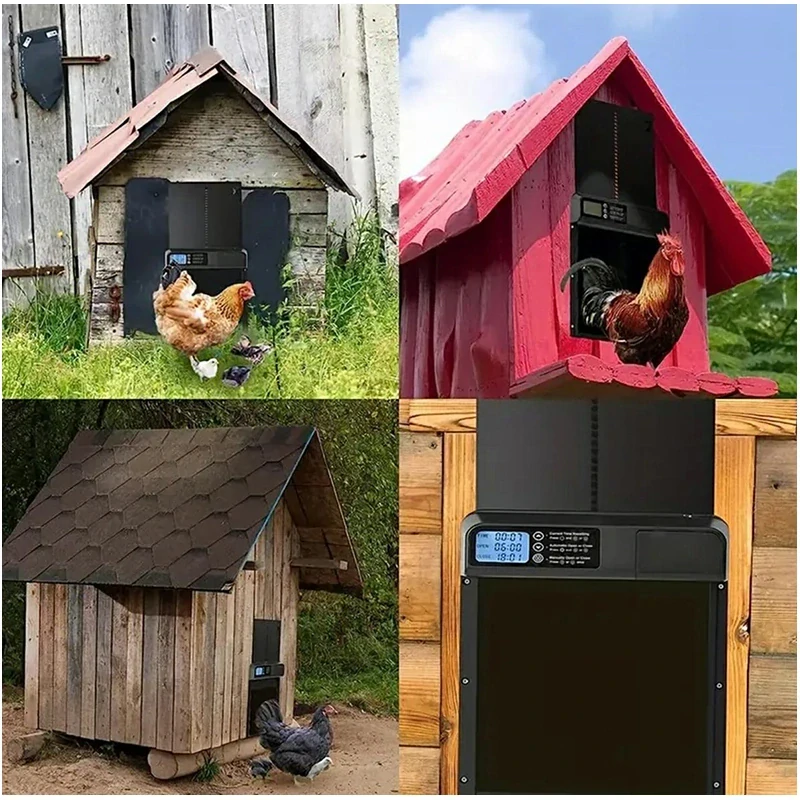 Dvere do kurína automatické s programovaním