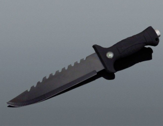 Poľovnícky nôž Black 31/18cm 