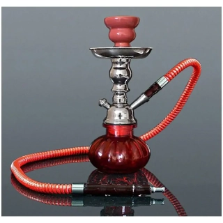 Inhalátor s hadičkami 25cm/1 s kufríkom červená