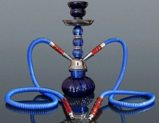 Inhalátor s hadičkami  28cm/2 modrá