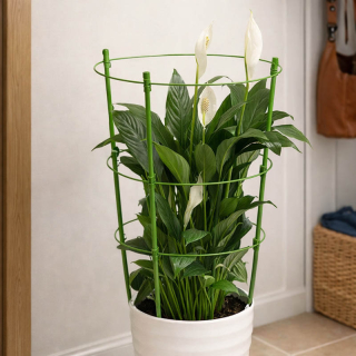 Krúžková podpera pre rastliny a kvety - výška 60 cm