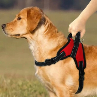 Postroj pre psov XL (80-90cm)
