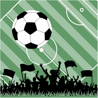 DUNI - Servitky 33x33cm Futbal - 20ks
