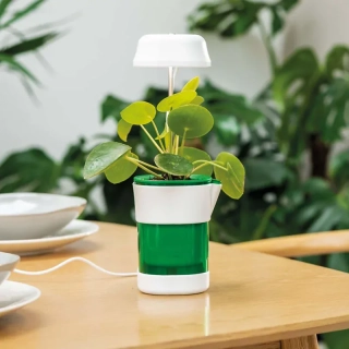 Lampa LED na podporu rastu rastlín