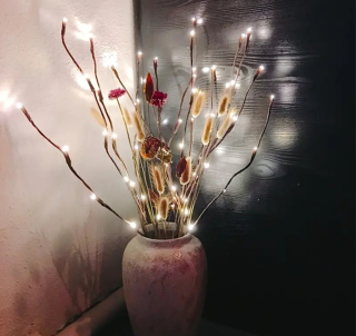 LED vetvičky
