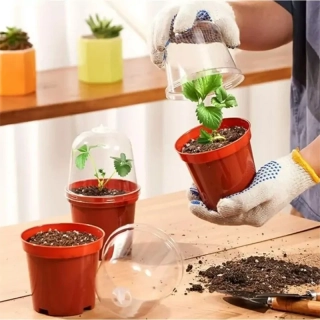 Kvetináč s kupolou so zvlhčujúcou funkciou 15cm