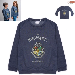 Harry Potter - Detské tričko s dlhým rukávom modré