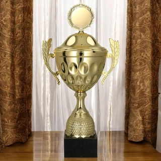 Pohár zlatý s ušami a vrchnákom - 49 cm