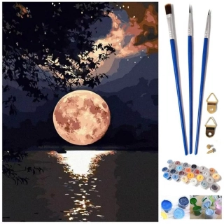 Maľovanie podľa čísel 40x50cm Mesiac