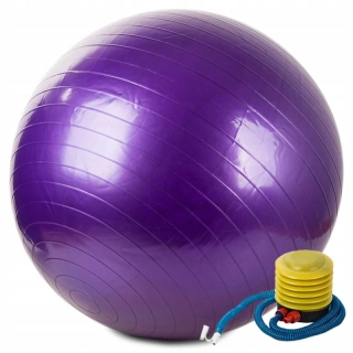 Gymnastická lopta s pumpou 65cm fialová