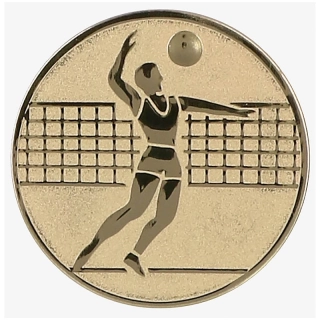 Volejbal Muži : Emblém - Nálepka na trofej Ø 50 mm zlatá