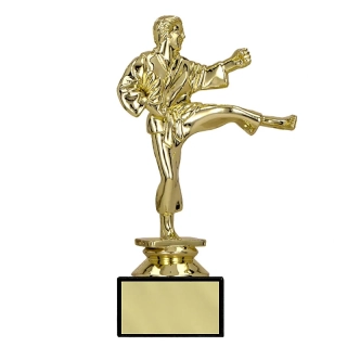 Trofej Karate 16cm