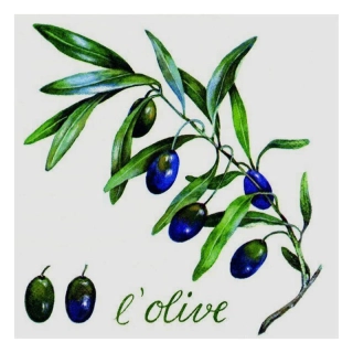 Servítky Atelier 33x33cm 20ks Olive