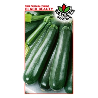 Tekvica Cuketa "Black Beauty" - 2g