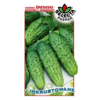 Uhorky nakladačky "Sremski F1" inkrustované - 5g