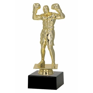 Trofej Box 19cm