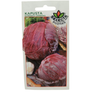 Kapusta červená hlávková - 2g