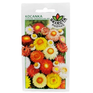 Slamienka záhradná mix: Helichrysum Bracteatum - 0,7g
