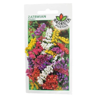 Limonka chobotnatá mix: Limonium Sinuatum - 0,5g