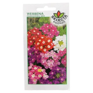 Verbena záhradná mix (Železník): Verbena hybrida - 0,7g