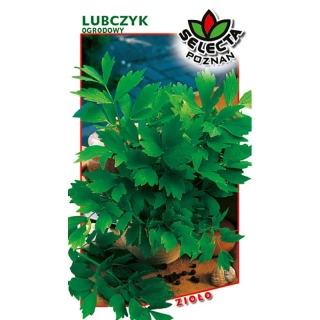 Ligurček lekársky: Levisticum Officinale - 0,7g