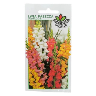 Papuľka vysoká: Antirrhinum Majus - 0,5g