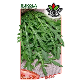 Rukola úzkolistá: Diplotaxis tenuifolia - 0,5g