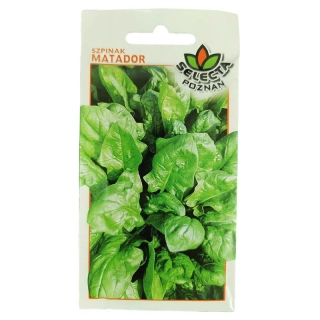 Špenát Matador: Spinacea Oleracea - 10g