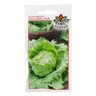 Hlávkový šalát "Queen of Summer" - 1g