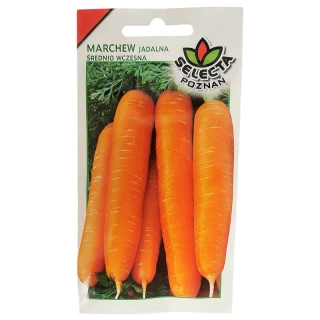 Mrkva poloskorá: Daucus Carota - 5g