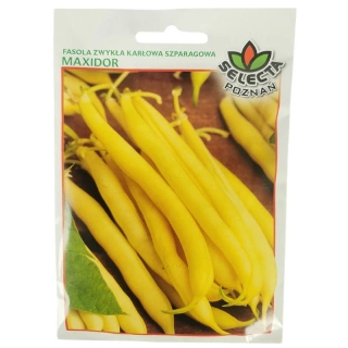 Fazuľa kríčková žltá "Maxidor" - 30g