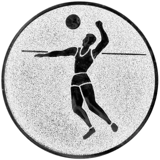 Volejbal: Hliníkový emblém na trofej Ø 50 mm strieborná
