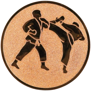 Karate: Hliníkový emblém na trofej Ø 50 mm bronzová