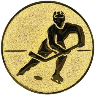 Ľadový hokej: Hliníkový emblém na trofej Ø 50 mm zlatá