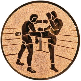 Kickbox: Hliníkový emblém na trofej Ø 50 mm bronzová