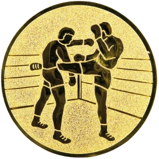 Kickbox: Hliníkový emblém na trofej Ø 50 mm zlatá